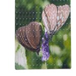 WhatsApp Image 2022-08-15 at 3