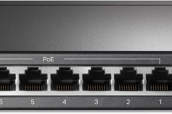 tl-sf1009p-1