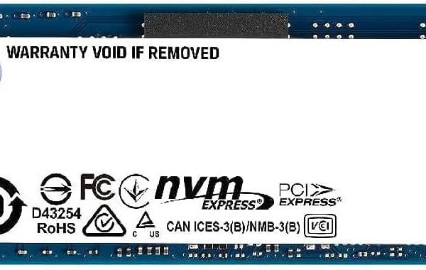 nv22-1