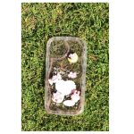 Silicone back cover with cartoon design compatible with iPhone XS clear