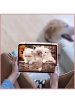 Case for iPad Pro 11 Case 2022/ 2021 /air4/air5 10.9 "/ ipad air6/air7 11" with Pencil Holder Premium Protective Case Cover with Soft TPU Back and Auto Sleep/Wake Feature for iPad Pro 11 comaptiple with (A2228 / A2231 / A2068 / A2230) , Pink - Image 4