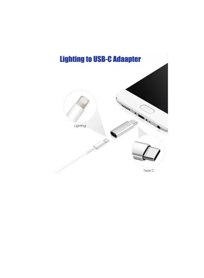 imgi_148_66a69984-b841-48d4-822d-b85e8485f5fc Lightning to Type C Adapter - Image 2