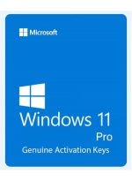 Microsoft Windows 11 Professional lifetime Key - Image 2