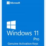 Microsoft Windows 11 Professional lifetime Key