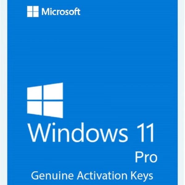 Microsoft Windows 11 Professional lifetime Key